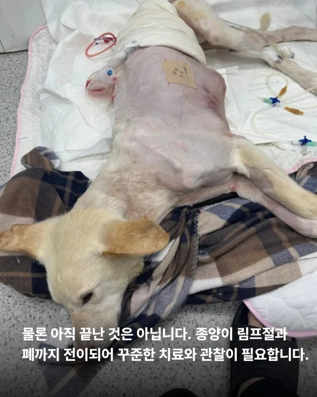 희망아 많이 먹어 그래도 좋아 현장 사진