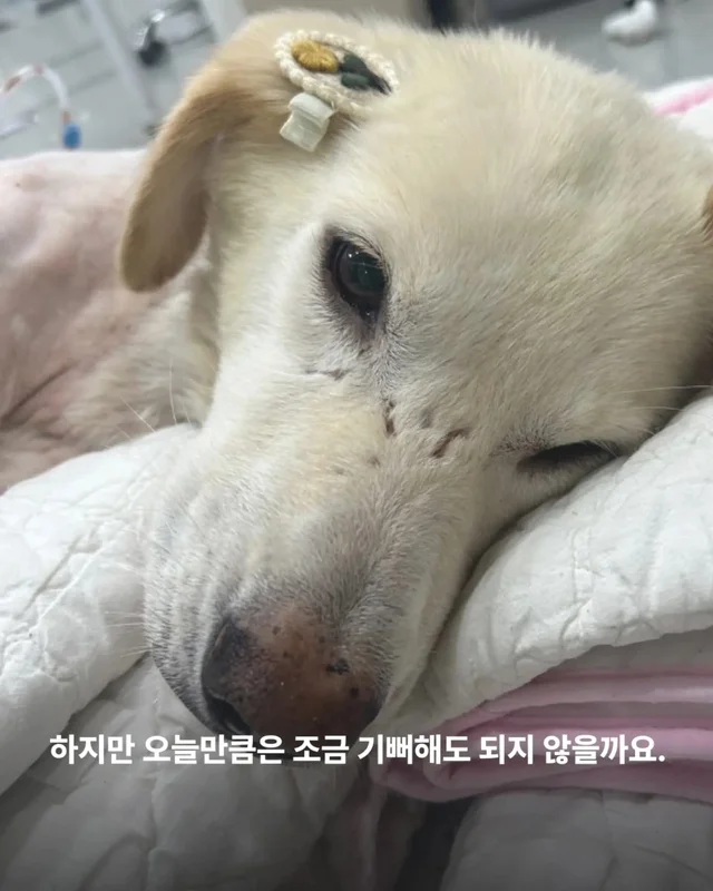 희망아 많이 먹어 그래도 좋아 현장 사진