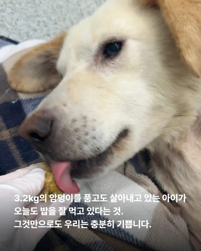희망아 많이 먹어 그래도 좋아 현장 사진