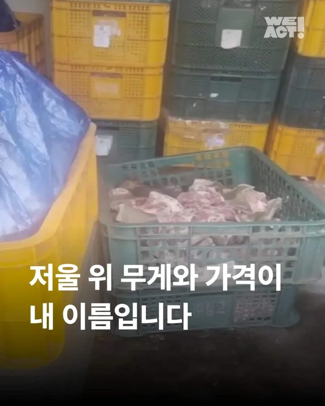 저울 위 무게와 가격이 내 이름입니다. 현장 사진