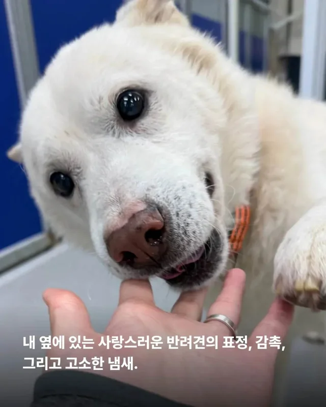 저울 위 무게와 가격이 내 이름입니다. 현장 사진