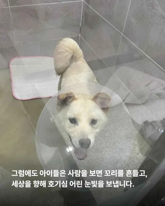저울 위 무게와 가격이 내 이름입니다. 현장 사진