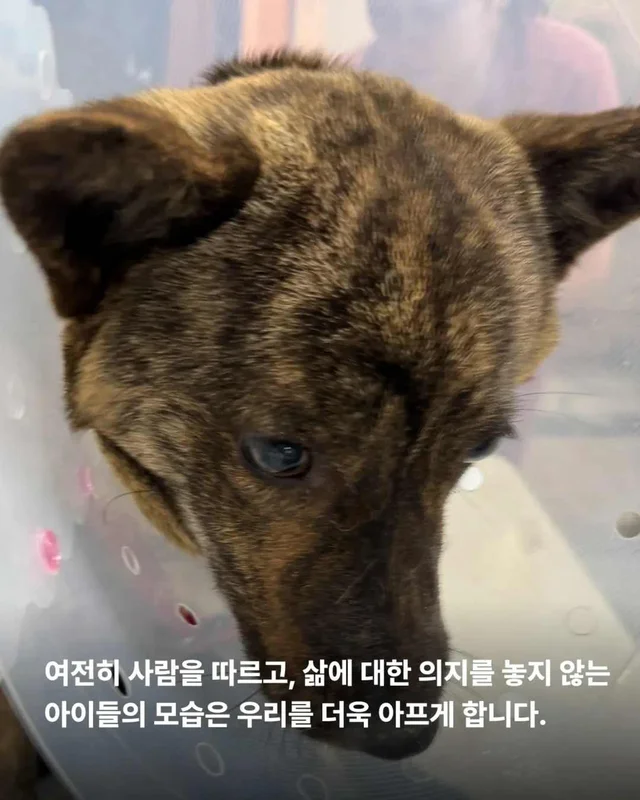 저울 위 무게와 가격이 내 이름입니다. 현장 사진