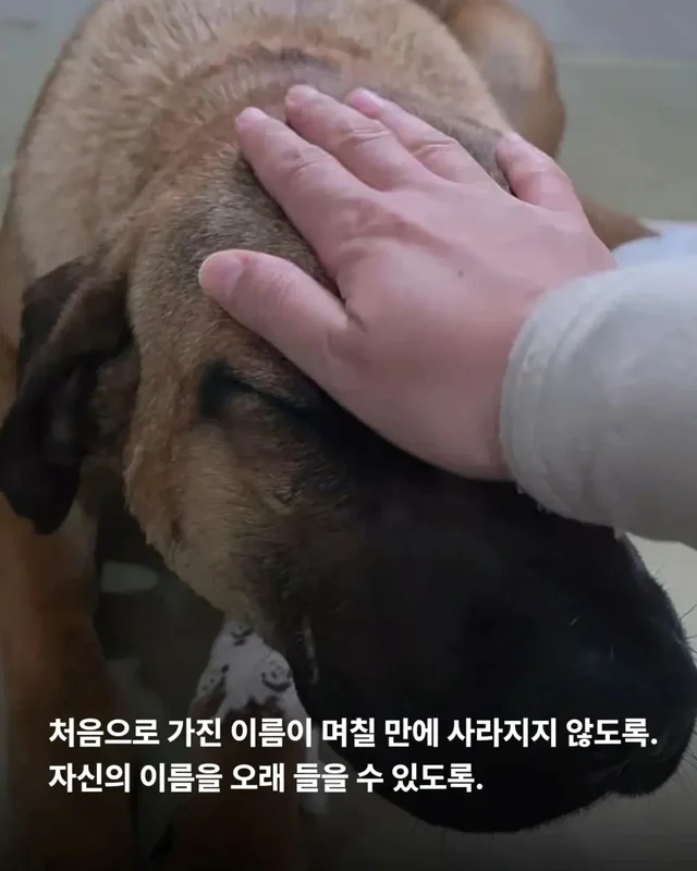 저울 위 무게와 가격이 내 이름입니다. 현장 사진