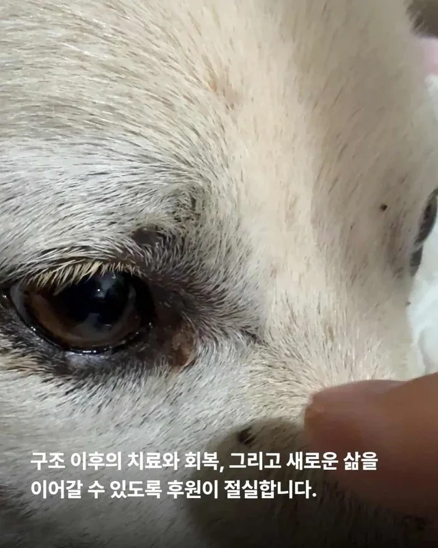 저울 위 무게와 가격이 내 이름입니다. 현장 사진