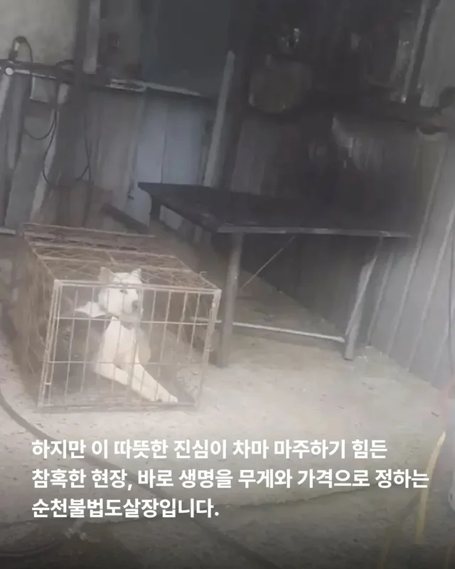 저울 위 무게와 가격이 내 이름입니다. 현장 사진