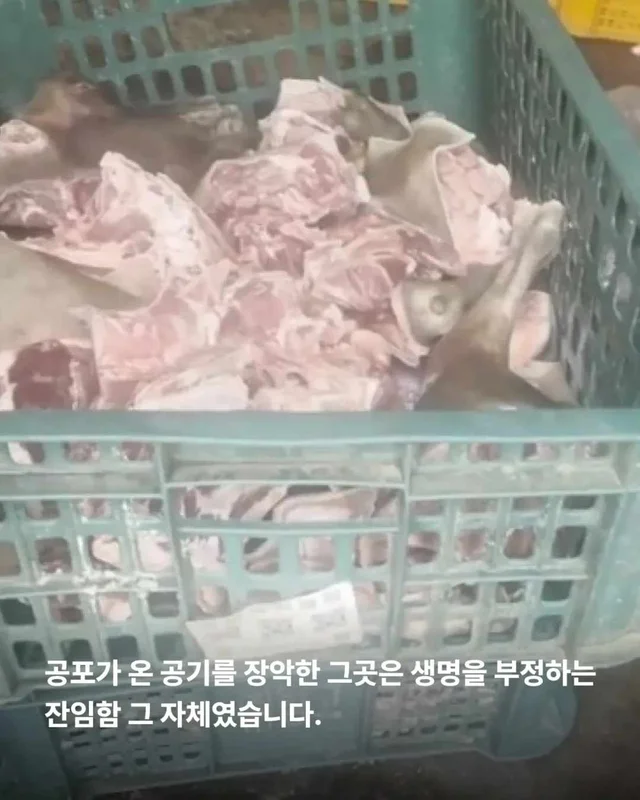 저울 위 무게와 가격이 내 이름입니다. 현장 사진
