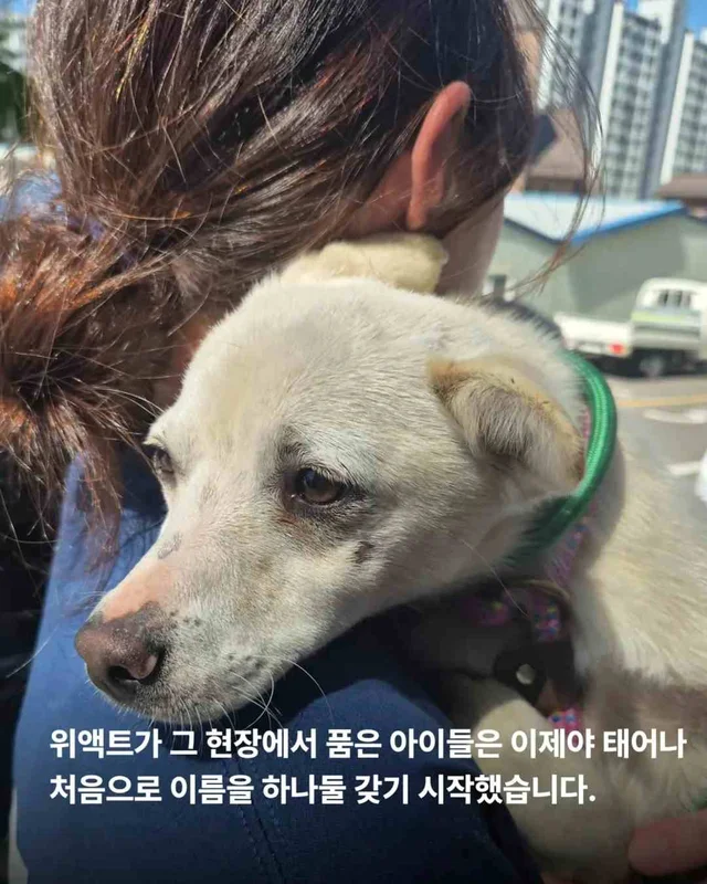 저울 위 무게와 가격이 내 이름입니다. 현장 사진