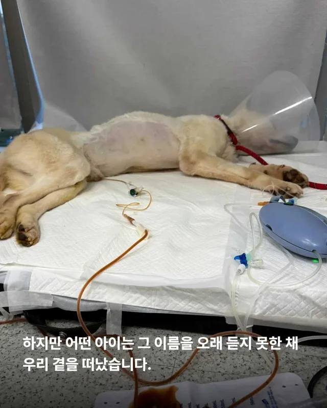 저울 위 무게와 가격이 내 이름입니다. 현장 사진