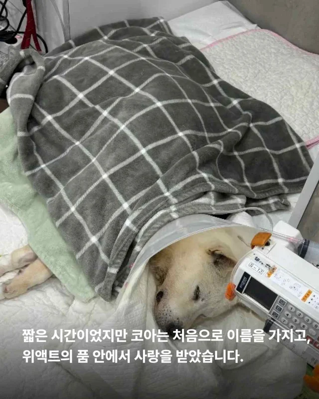 저울 위 무게와 가격이 내 이름입니다. 현장 사진