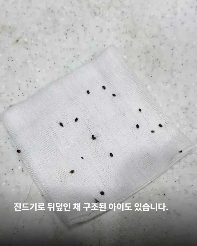저울 위 무게와 가격이 내 이름입니다. 현장 사진
