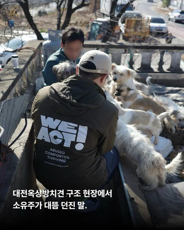 작고 소중한 바둑이 가족 #위액트고운 #위액트말랑 #.. 현장 사진