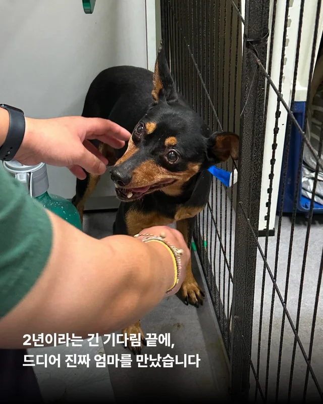 2년의 기다림 끝에, 진짜 엄마를 만난 녹스 현장 사진
