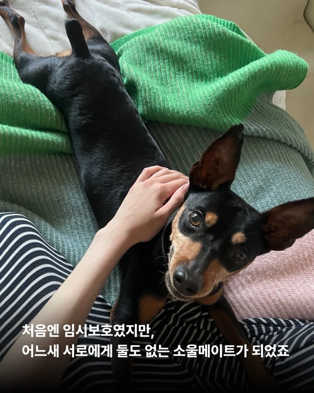 2년의 기다림 끝에, 진짜 엄마를 만난 녹스 현장 사진