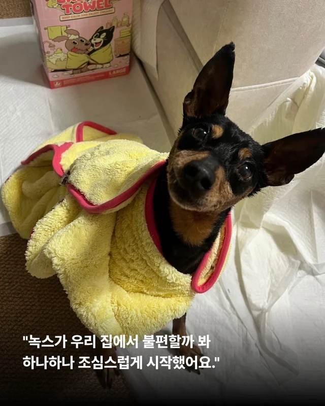 2년의 기다림 끝에, 진짜 엄마를 만난 녹스 현장 사진