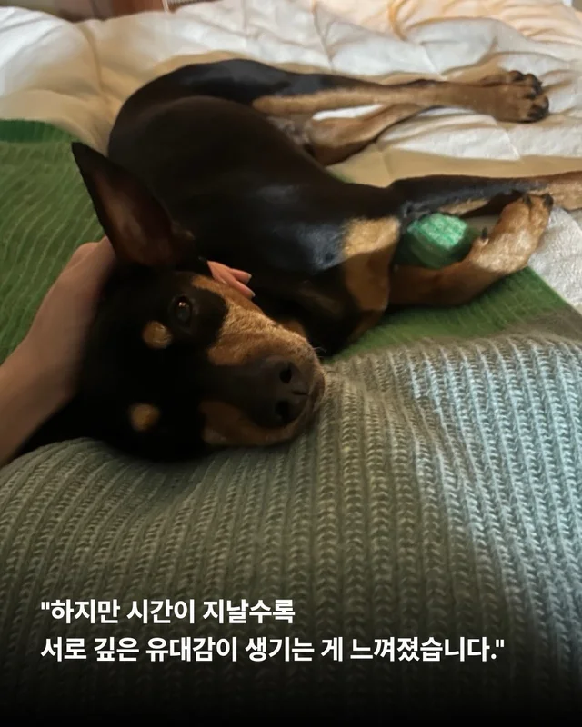 2년의 기다림 끝에, 진짜 엄마를 만난 녹스 현장 사진