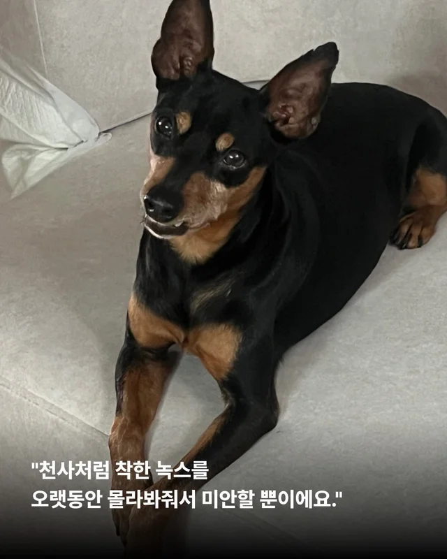 2년의 기다림 끝에, 진짜 엄마를 만난 녹스 현장 사진
