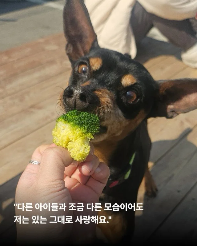 2년의 기다림 끝에, 진짜 엄마를 만난 녹스 현장 사진
