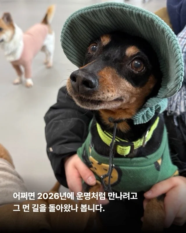 2년의 기다림 끝에, 진짜 엄마를 만난 녹스 현장 사진