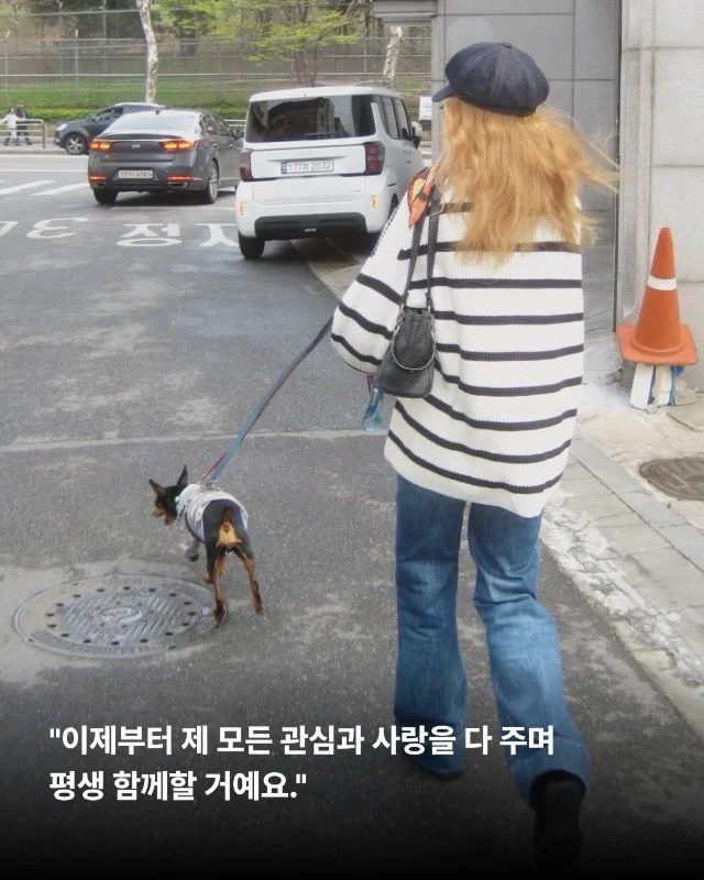 2년의 기다림 끝에, 진짜 엄마를 만난 녹스 현장 사진