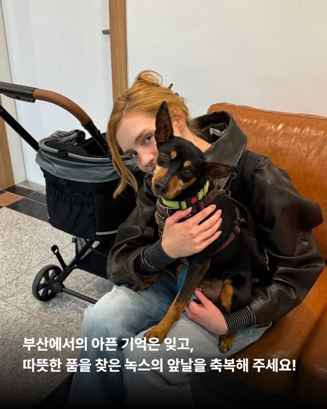 2년의 기다림 끝에, 진짜 엄마를 만난 녹스 현장 사진