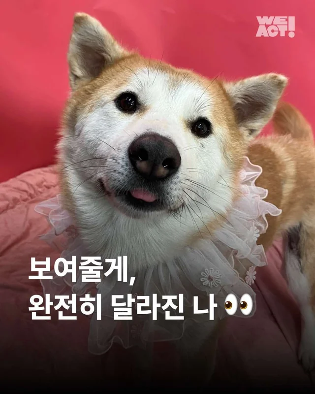 보여줄게, 완전히 달라진 나 현장 사진