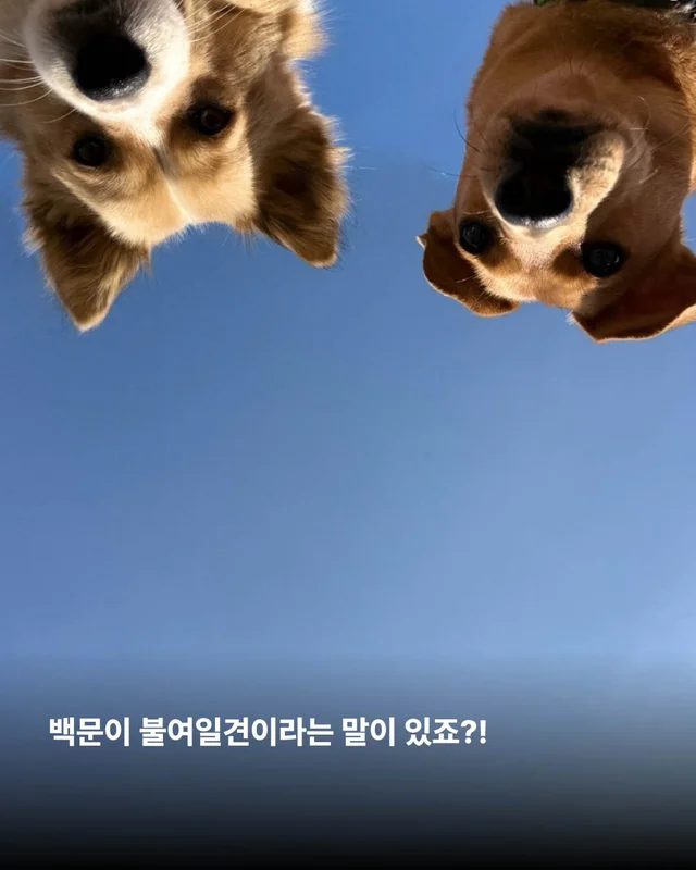 보여줄게, 완전히 달라진 나 현장 사진