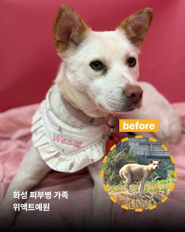 보여줄게, 완전히 달라진 나 현장 사진
