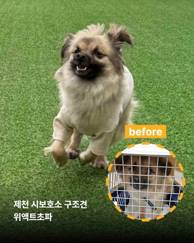 보여줄게, 완전히 달라진 나 현장 사진