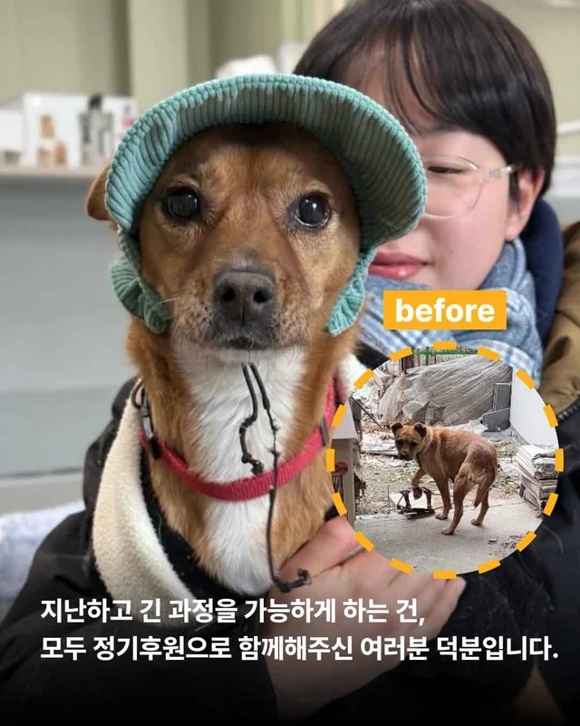 보여줄게, 완전히 달라진 나 현장 사진