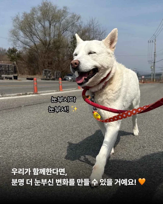보여줄게, 완전히 달라진 나 현장 사진
