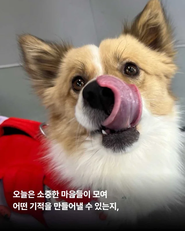 보여줄게, 완전히 달라진 나 현장 사진