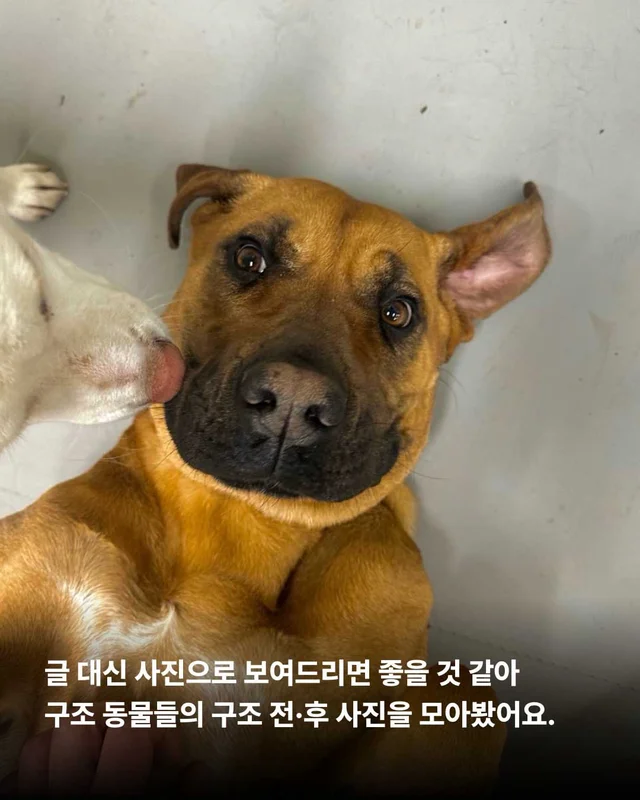보여줄게, 완전히 달라진 나 현장 사진