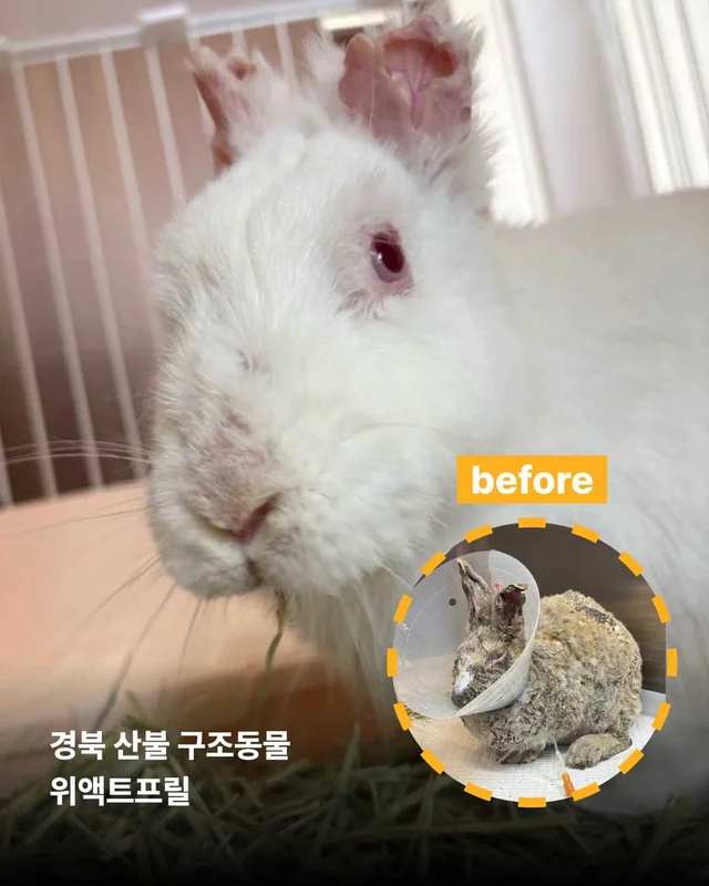 보여줄게, 완전히 달라진 나 현장 사진
