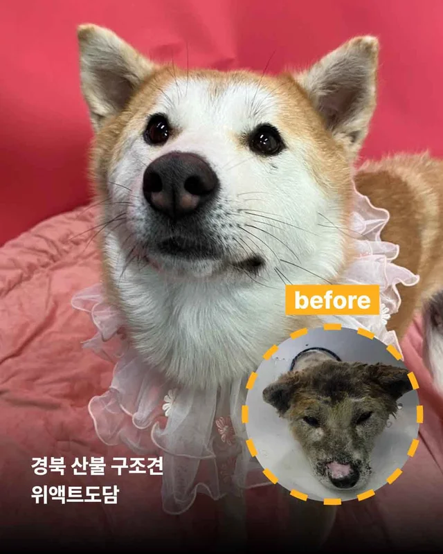 보여줄게, 완전히 달라진 나 현장 사진