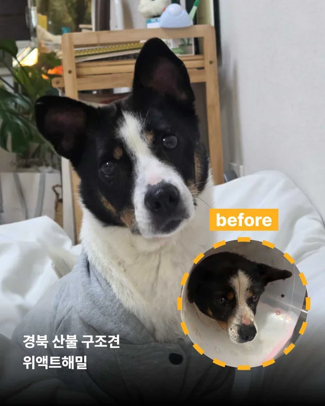 보여줄게, 완전히 달라진 나 현장 사진