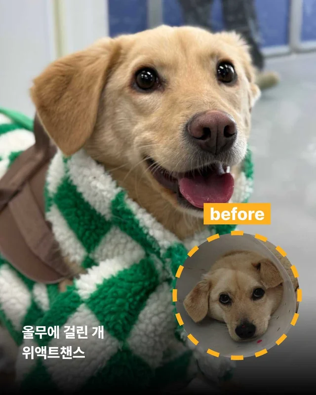 보여줄게, 완전히 달라진 나 현장 사진