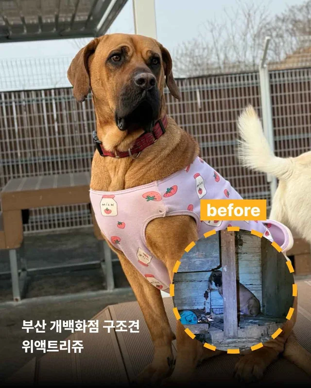 보여줄게, 완전히 달라진 나 현장 사진