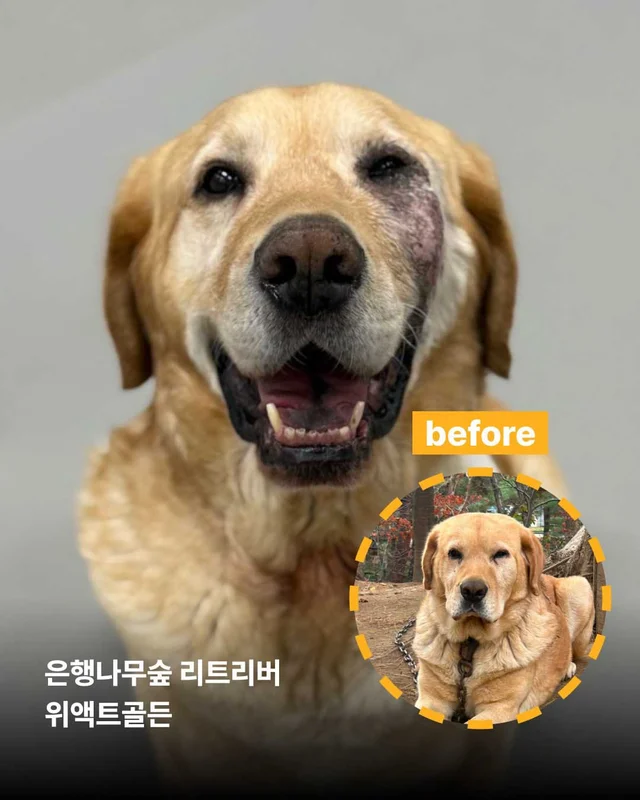 보여줄게, 완전히 달라진 나 현장 사진
