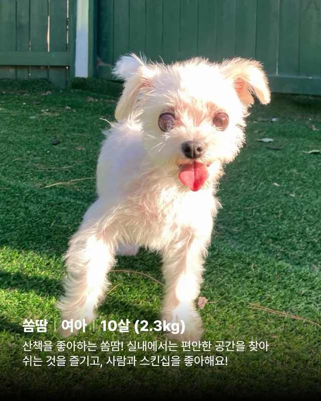 아이들의 임보처를 찾습니다 현장 사진