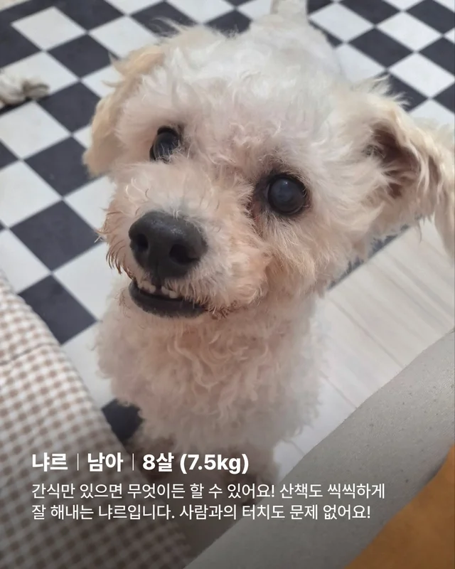 아이들의 임보처를 찾습니다 현장 사진