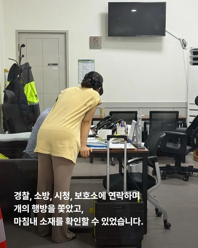 뺑소니 당한 개에게 찾아온 놀라운 기적 현장 사진