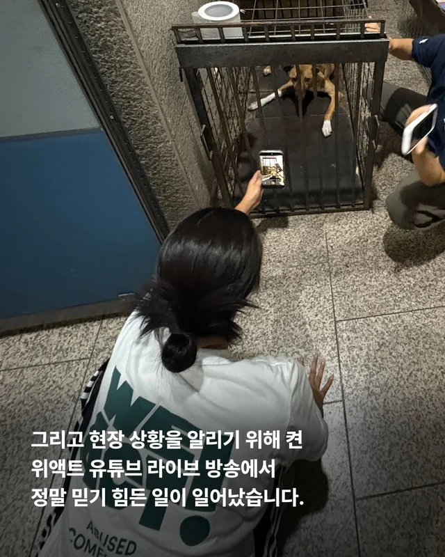 뺑소니 당한 개에게 찾아온 놀라운 기적 현장 사진