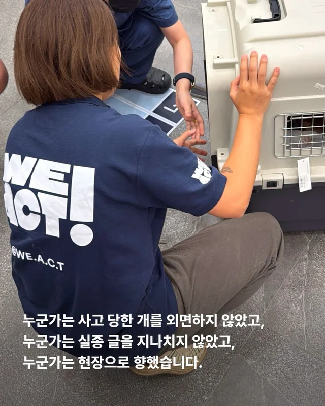 뺑소니 당한 개에게 찾아온 놀라운 기적 현장 사진