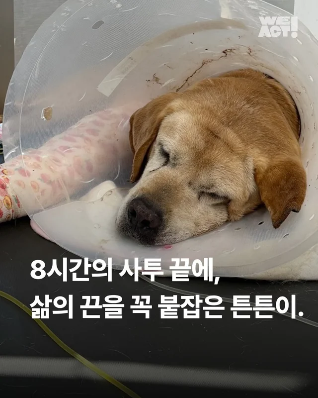 세찬 물살 속에서 온몸으로 8시간을 버텨낸 아이 현장 사진