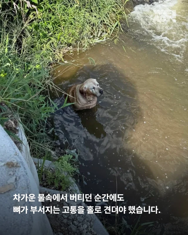 세찬 물살 속에서 온몸으로 8시간을 버텨낸 아이 현장 사진