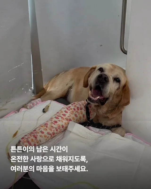 세찬 물살 속에서 온몸으로 8시간을 버텨낸 아이 현장 사진