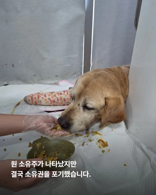 세찬 물살 속에서 온몸으로 8시간을 버텨낸 아이 현장 사진