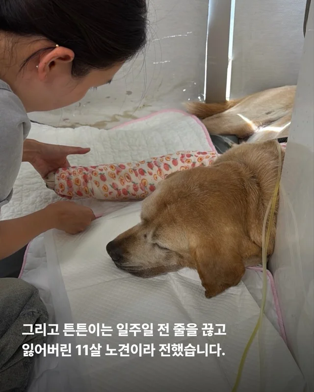 세찬 물살 속에서 온몸으로 8시간을 버텨낸 아이 현장 사진