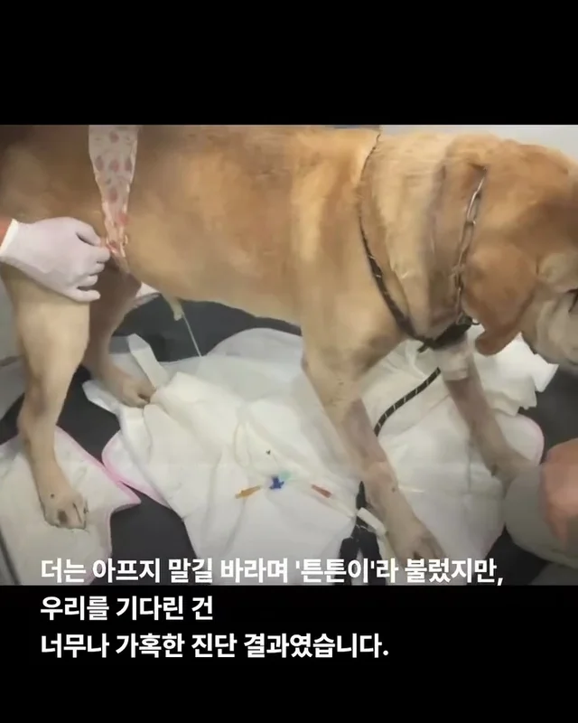 세찬 물살 속에서 온몸으로 8시간을 버텨낸 아이 현장 사진